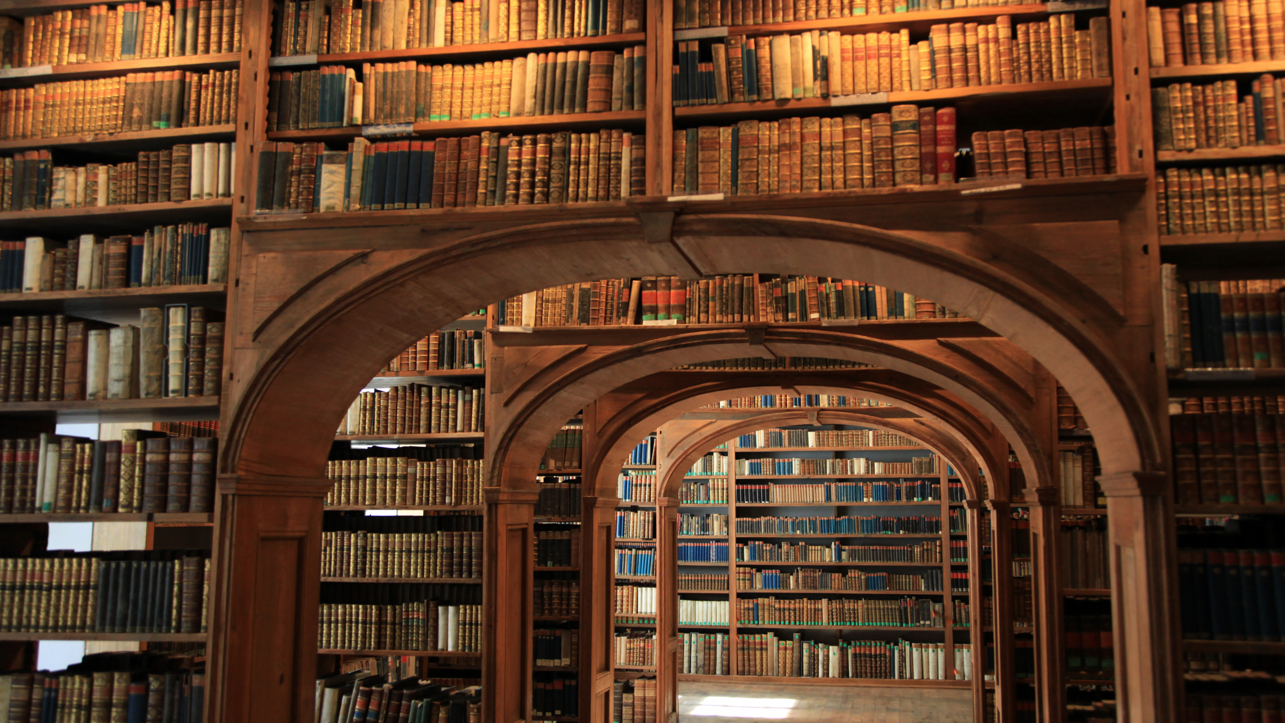 Quiet library scene with books and study tables