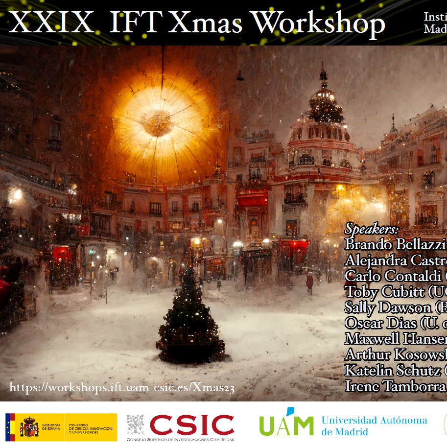 29th IFT Xmas Workshop
